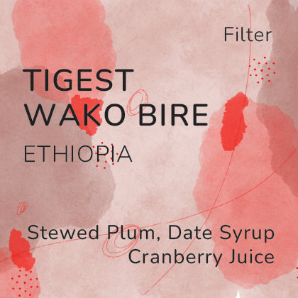 Tigest Wako Bire Filter