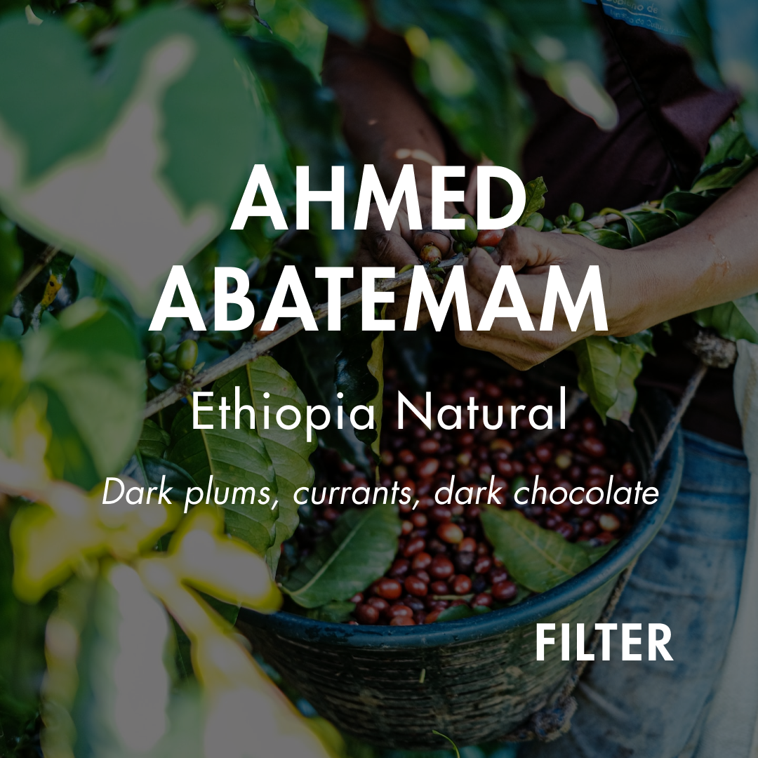 Ahmed Abatemam Filter