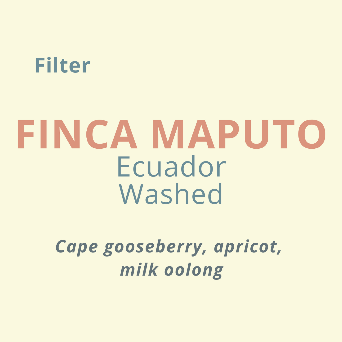 Finca Maputo Filter