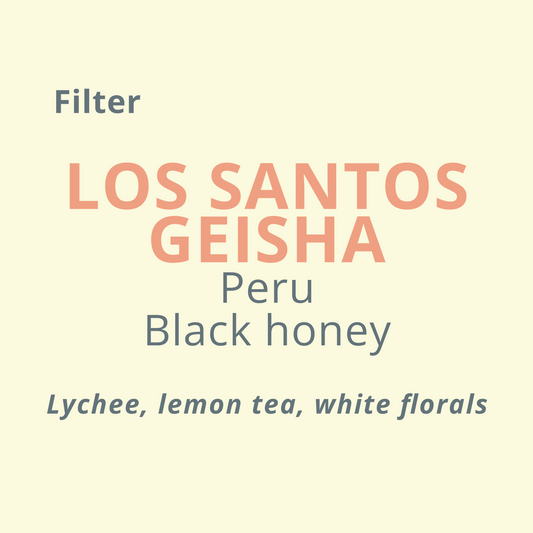 Finca Los Santos Geisha Filter