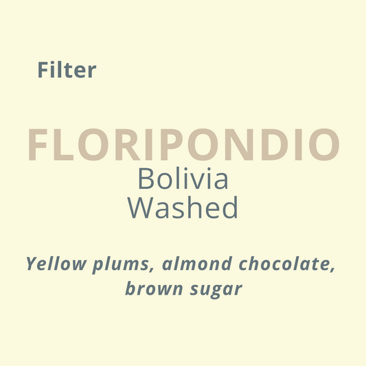 Floripondio Filter