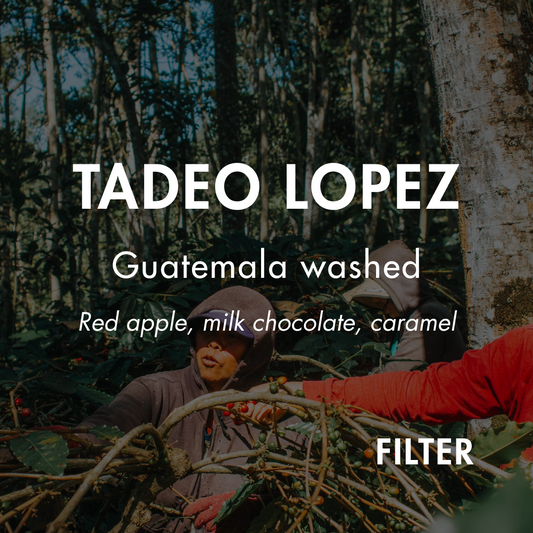 Tadeo Lopez Filter
