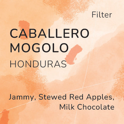 Caballero Mongolo Honduras Filter