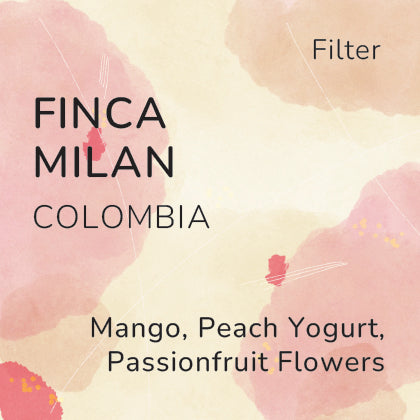 Finca Milan Colombia Filter