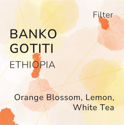 Banko Gotiti Ethiopia Filter